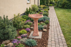 Jován Róma Madárfürdető Magas láva (JOVM4-lava)