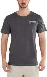 Fundango Basic-T Logo 07 D