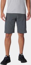 Columbia Silver Ridge Cargo Short D