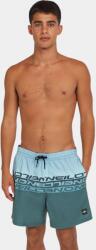 O'Neill O Neill Cali Stripe 16 Swimshorts D