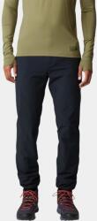 Mountain Hardwear Yumalino Active Lined Pant D