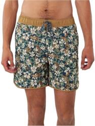 Barts Jarai Shorts D
