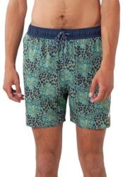 Barts Vinais Shorts D
