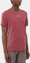 Salomon Sense Aero SS Tee Gfx M D