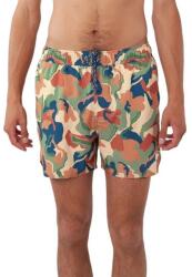 Barts Samuro Shorts D