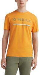 O'Neill Arrowhead T-Shirt D