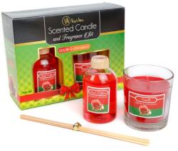 Vog & Arths Lumânare parfumată și set difuzor - mere & scorțișoară - 120 g + 100 ml (58800A)