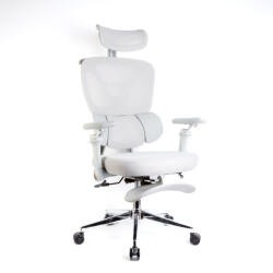 Bemada Scaun de birou ergonomic gri cu brațe (BMD1122)