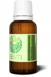 Senti Oils Eukaliptusz természetes illóolaj 10ml (5900949542317)