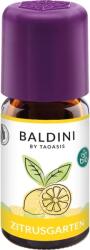 TAOASIS Baldini "Citrus kert" illatkeverék - 5 ml