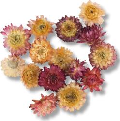  Szalma rózsa rózsaszín 15db/csomag