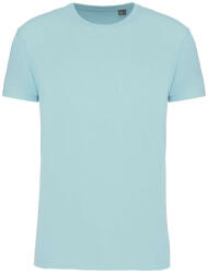 Kariban Férfi organikus rövid ujjú póló, Kariban KA3025IC, Ice Mint-M (ka3025icicm-m)