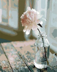 Figured Art Set pictura pe numere, cu sasiu, Floare alba, 40x50 cm (PN555-Y)