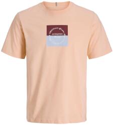 JACK & JONES Тениска jorcatskills square branding tee sscn ln (122908564989055)