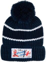Kids movie heroes Шапка Spiderman (HY40033-BLUE)