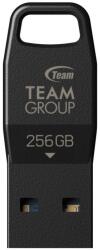Team Group S5 256GB TS53256GB01 Memory stick