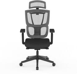 FlexiSpot Prémium ergonomikus irodai szék C7, Habpárna, Fekete - adaptív deréktámasz, állítható fejtámla és kartámasz, hosszú távú ülőmunkához (C7B)