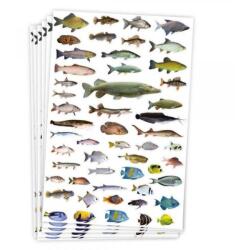 playbox PlayBox: Halas matricák 300 db-os