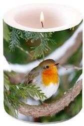Ambiente Robin in Tree átvilágítós gyertya 12x10cm (ZV-8712159163377)