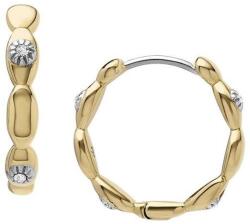 Fossil Fosszilis Sutton JF04795710 (JF04795710)