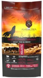 AMBROSIA Adult All Breeds Beef & Fresh Salmon 2 x 12 kg
