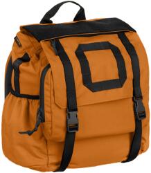 Wisport Rucsac tip cub Wisport Cube 20 l - Ginger