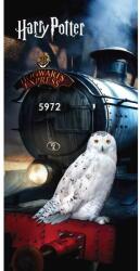 Jerry Fabrics Prosop pentru copii din bumbac 70x140 cm Harry Potter "Hedwig" - Jerry Fabrics Prosop