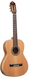 Ortega Guitars R20GSNRG klasszikus gitár