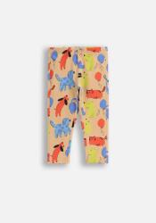 Coccodrillo Gyerek leggings Színes Csecsemő Fiú Lábszárvédő 080 Coccodrillo ZC5 (5904986646960)