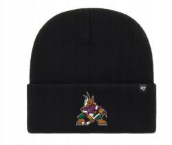 47 Brand Beanie Arizona Coyotes Nhl téli sapka 47 Brand fekete r. univerzális (H-HYMKR21ACE-BK)