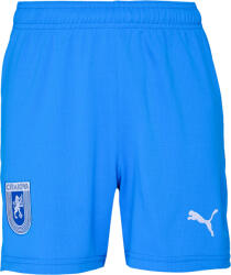 PUMA Ucv shorts 128
