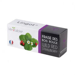 Véritable Căpșuni roșii sălbatice Véritable Lingot