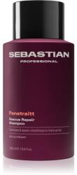 Sebastian Professional Penetraitt sampon sérült, vegyileg kezelt hajra 280 ml