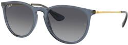 Ray-Ban RB4171 6592T3 (RB4171 6592T3) Слънчеви очила