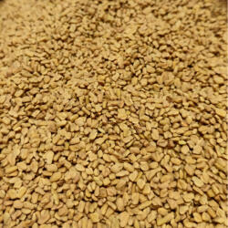 Paleolit Görögszénamag egész 25kg lédig Fenugreek seeds - zamborigyumolcsle
