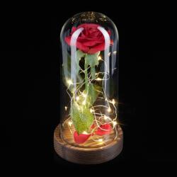 Relaxdays Trandafir Etern într-un Pahar cu Lumină (10065866)