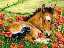 iPicasso Festővászon számok szerinti festéshez iPicasso 30x40 cm kereten (PC3040086)