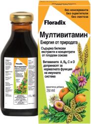 SALUS Multivitamine, 250 ml, Floradix