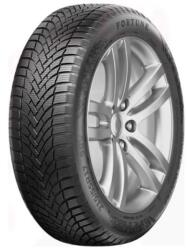 Fortune Nivalis Winter Pro 245/45 R20 103V XL - rfw-anvelope