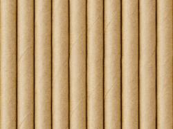 Party Deco Papír szívószál 10 db-os natúr Kraft (SPP903113991289)