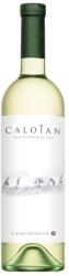  Vin Alb Sauvignon Blanc Caloian 0.75l (CLA3SGR)