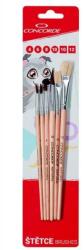 ConCorde Ecset készlet 6 darabos (O300049)