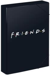 Baagl BAAGL A4-es füzetbox Friends (A-33182)