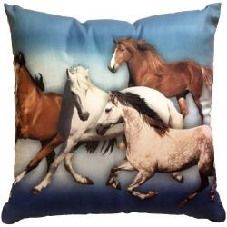 Dadka Lócsorda párna (03400-0000000071A)