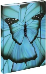 Baagl Füzettartó A4 BAAGL Butterfly (A-33024)