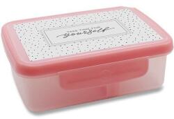 R&B Mědílek Egészéges uzsonnás doboz Scandi (8998764)