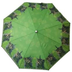 Simmy Összecsukható lány esernyő macskák a fűben (H335870)