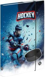 KARTON P+P A4 Jégkorong füzettartó box (6-50225)