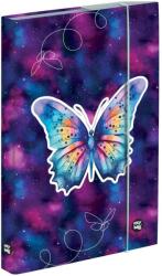 KARTON P+P A4 Pillangó füzettartó box (3-75625)