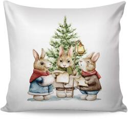 Matějovský Párnahuzat Matějovský Winter Stories Pamut deluxe digitál (23276)